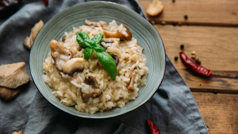 Culinary Delights: Mushroom Recipes to Try