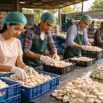 45 Days Mushroom Cultivation Internship